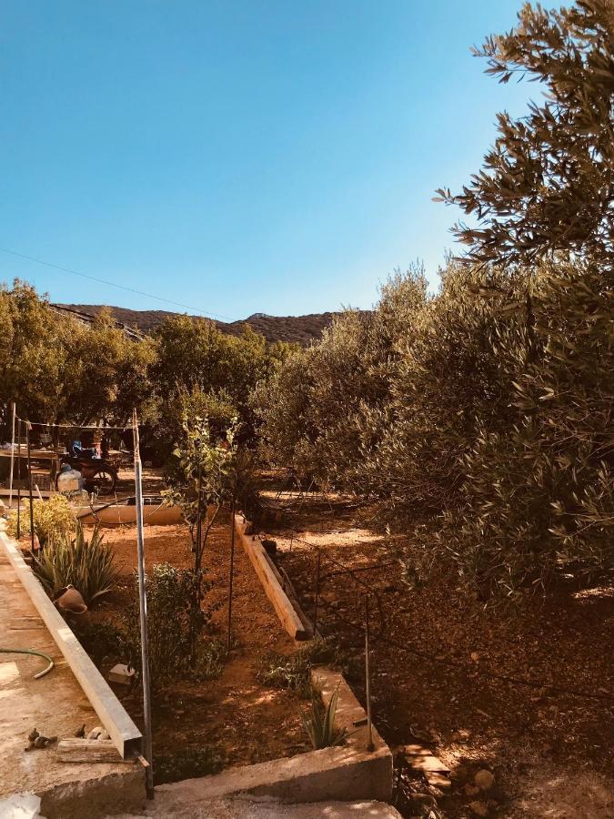 Country House Pachia Ammos Exterior photo